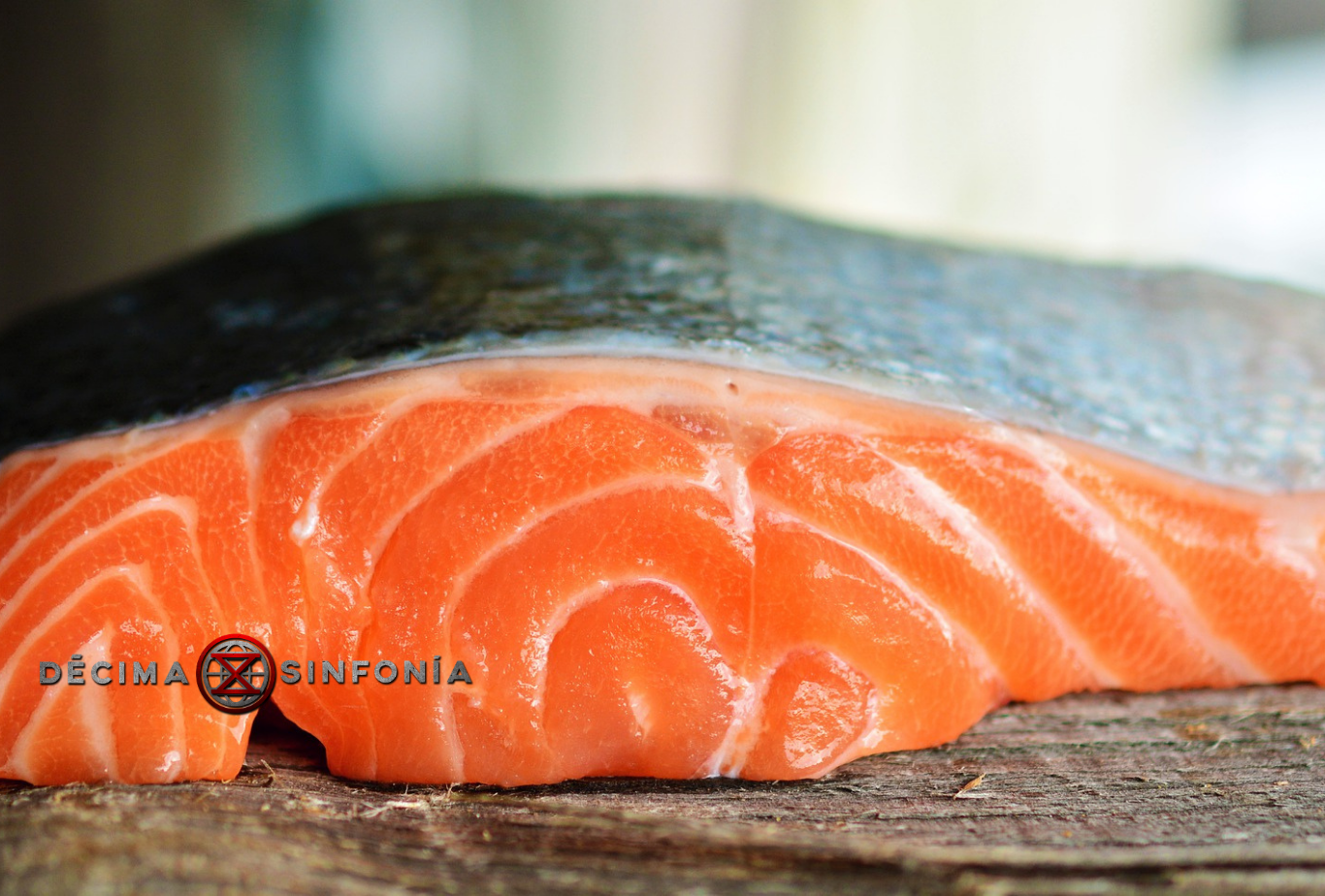 NORUEGA SALMON