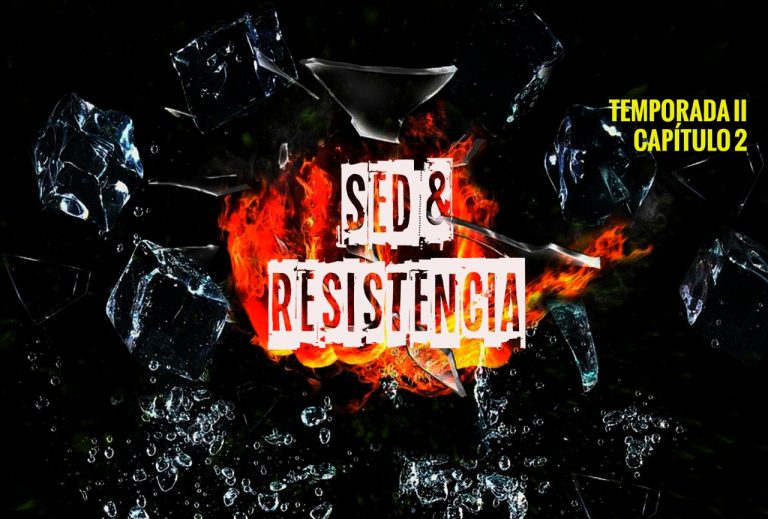 SED Y RESIS CAP 2