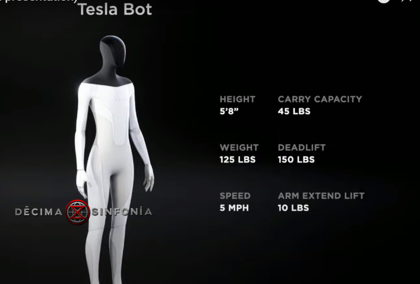 TESLA BOT